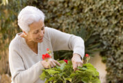 Women & Heart Disease: A Primer