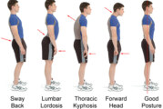 Keep Your Spine Tuned Up with Body Mechanics