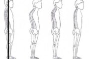 Get Fit Tip! Posturing for Success: Good Posture Creates a Strong Foundation for Movement