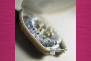 Do Oral Contraceptives put Women with a Family History of Breast Cancer at Increased Risk?
