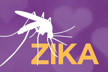 Zika Virus: Pregnant or Planning Pregnancy? Please Read Before You Travel.