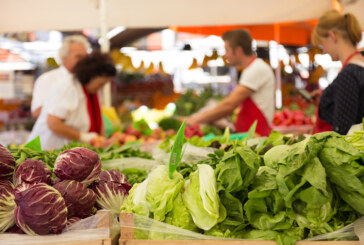 Get a Fresh Take on Your Food at Local Farmers Markets