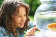 Did You Know Not All Living Creatures Hear with Ears? Learn More Speech & Language Facts!
