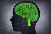 Craving Broccoli? Nahh, Didn’t think so! Check out 3 Tips for Combating Pesky Food Cravings