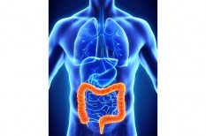 Time for a Colonoscopy? Valley Makes it Easy for You to Get this Important Preventive Screening