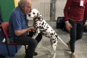 How Can You and Your Child Interact with Clover, the Therapy Dog?