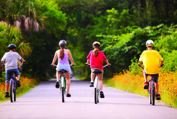 Summer is the Time to Check for Helmet Safety