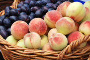 Healthy, Delicious Cooking with Summer’s Peaches, Plums