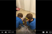 Make a Sensory Play Bean Box—Your Kids will Dig It!