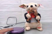 Adaptive Toys for Children with Disabilities—Toys to Adapt, Toys to Borrow, Toys to Keep!