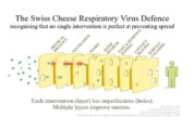 What Does Swiss Cheese Have to Do with Preventing COVID-19?