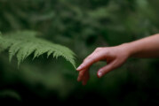 Have a Mindful May—Try Bite-Sized Daily Activities to Boost Well-Being